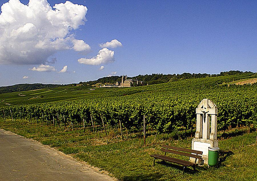 Weingut Magdalenenhof Hotel Rüdesheim am Rhein Kültér fotó