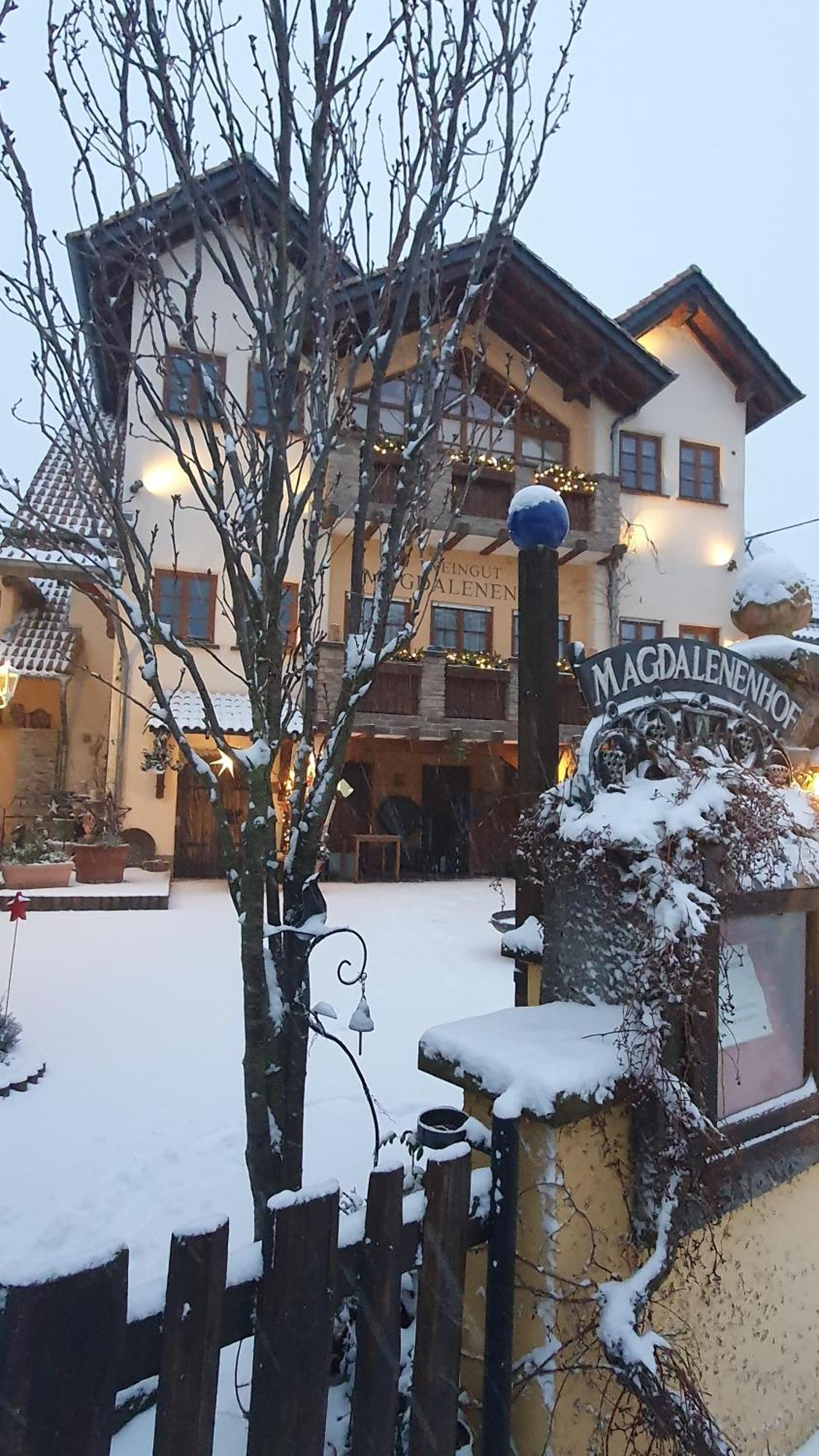 Weingut Magdalenenhof Hotel Rüdesheim am Rhein Kültér fotó