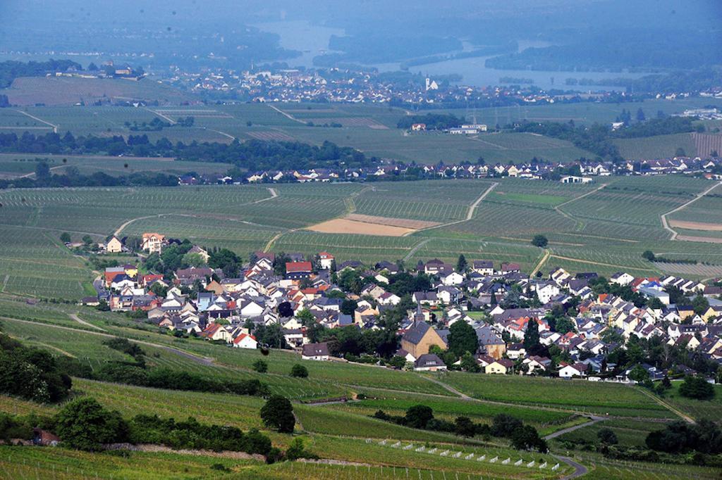 Weingut Magdalenenhof Hotel Rüdesheim am Rhein Kültér fotó