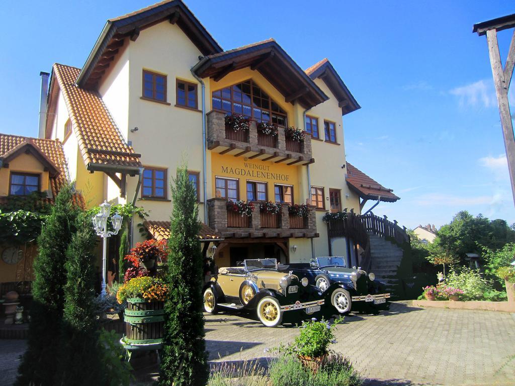 Weingut Magdalenenhof Hotel Rüdesheim am Rhein Kültér fotó