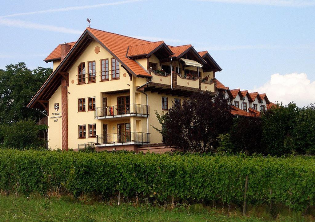 Weingut Magdalenenhof Hotel Rüdesheim am Rhein Kültér fotó