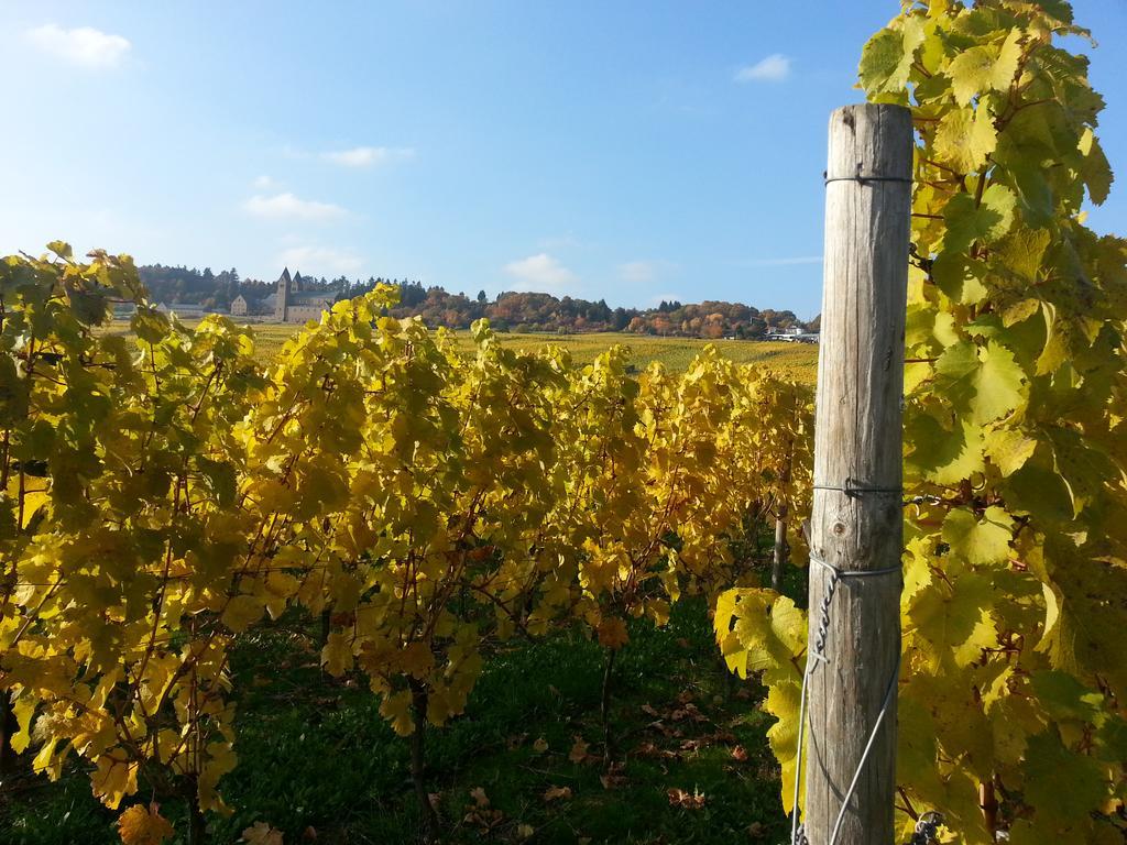 Weingut Magdalenenhof Hotel Rüdesheim am Rhein Kültér fotó